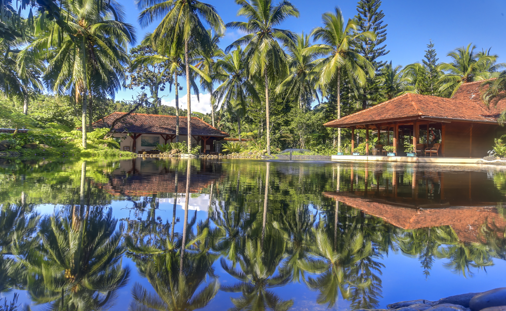 ذا فارم آت سان بينيتو